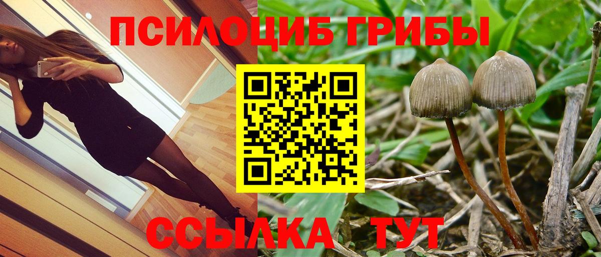 Псилоцибиновые грибы GOLDEN TEACHER  Галлюциногенные грибы Psilocybine cubensis  Вход с VPN  где можно купить   Протвино 